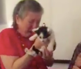 A high school teacher in Texas was surprised with two cute kittens from her students.