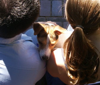 Pet Mediator
