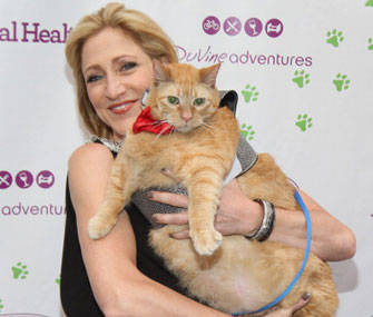 Sponge Bob the cat posed with actress Edie Falco at an animal charity event.