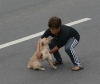 Jean Fernandes, 11, stopped traffic to rescue an injured dog in Brazil.