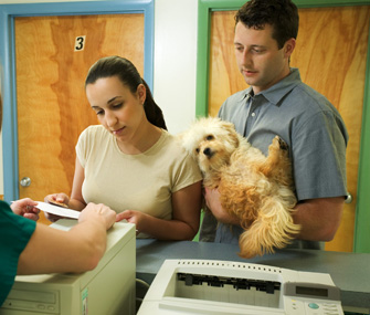Man and Woman at Vet