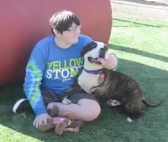 Quinn Scharn, a 12-year-old cancer survivor and amputee, adopted a dog with three legs.