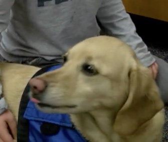 A therapy dog named Victor is helping kids at an Indiana elementary school.