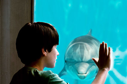 Nathan Gamble as Sawyer Nelson with Winter in Alcon Entertainment’s family adventure “Dolphin Tale,” a Warner Bros. Pictures release.