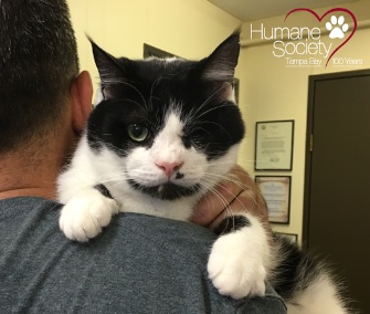Bart the "Zombie Cat" is fully recovered after being buried alive two years ago.