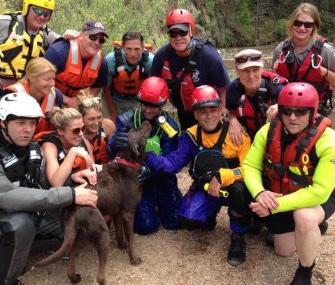 Shakespeare the chocolate Lab thanks the crew who rescued him from under a flooded bridge in Colorado.