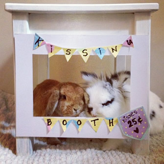 bunny kissing booth