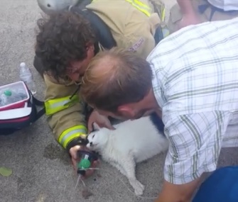 Firefighters in Ames, Iowa, spent more than 30 minutes working to revive a cat found in a burning home.