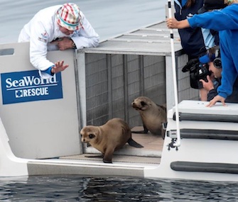 Marine Room Chef Bernard Guillas was on board to see Marina off when she was released.