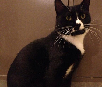 Frankie was rescued from a New Zealand McDonald's.