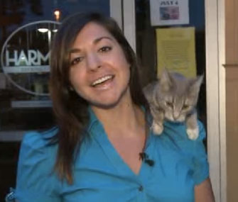 A stray cat jumped on Fox 17 reporter Nicole DiDonato's shoulder during a live shot.