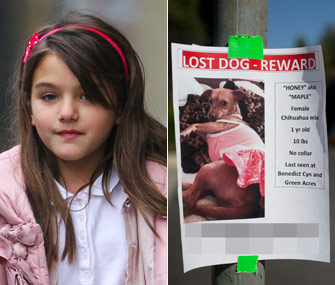 Suri Cruise and her lost dog