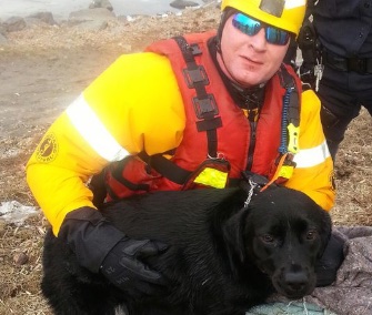 Fairfax County, Virginia, firefighters rescued 1 1/2 year old black Lab Dani from a freezing lake.