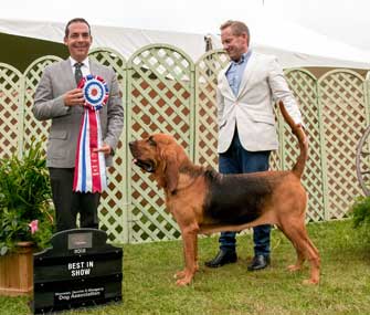 GCH CH Quiet Creek’s Double or Nothing for Heather