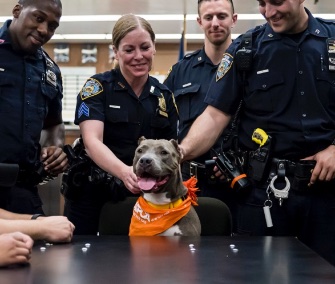 Jamie had a well-deserved day out with some adoring NYPD officers.