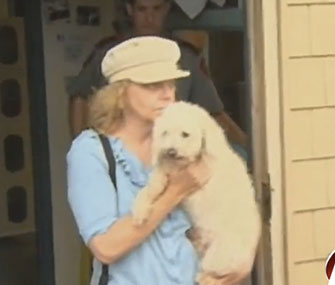 Suzie the poodle is reunited with her owner.