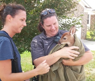 Firefighter Holly Holton, left, helped rescue a fawn from a 12-foot storm drain in North Carolina.