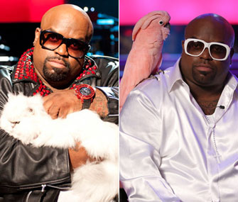 Cee Lo Green's Purrfect the cat vs. Lady the cockatoo