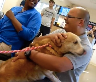 After being missing for four months, a Marine veteran was reunited with his therapy dog, Nahla.