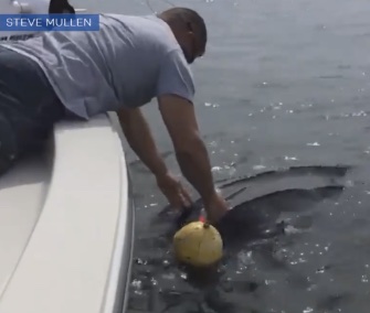 Two off-duty officers saved an entangled leatherback sea turtle in the Atlantic.