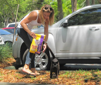 woman feeding feral cats