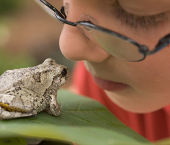 Kid With Frog