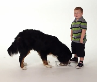 "Apparently Kid" Noah Ritter appears in a commercial for FreshPet dog food.
