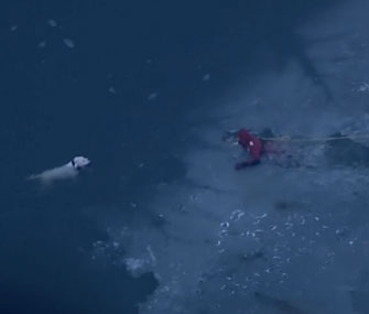 Dog's icy rescue