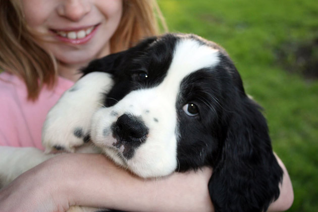 Cute Pet of the Week, December 2, 2011