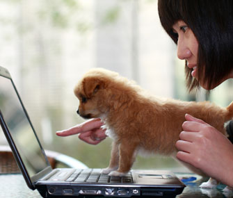 woman and dog at computer