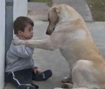 Himalaya works her magic to befriend little Hernan in a video that's gone viral.