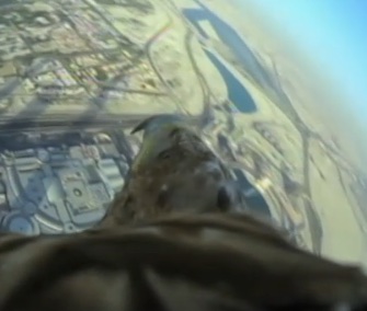 Darshan gave a stunning birds-eye tour of Dubai.