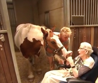 Nelly Jacobs, who suffers from Parkinson's disease at age 87, got her final wish to ride horseback one last time.