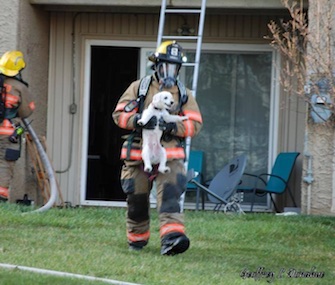Firefighter Walter Sanders carries a white puppy from an apartment fire in Maryland.