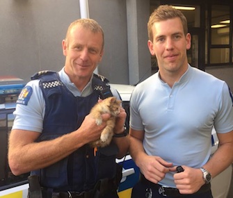 Police officers rescued a kitten they named Jam from traffic during rush hour in New Zealand.