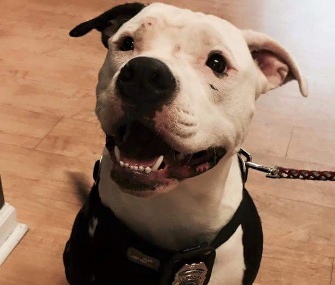 Nearly a year after he was burned in a fire, Jake has a new life with the firefighter who saved him.