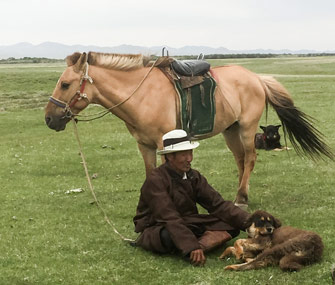 Bankhar Puppy