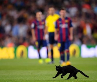 A black cat interrupted play at Barcelona's season opener Sunday.