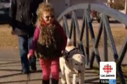 Autistic girl and service dog