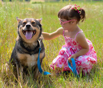 How Can I Prepare My Dogs to Visit with Kids?