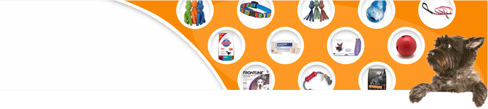 A small dog admires an array of great pet products.
