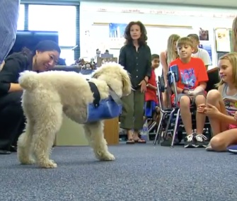 A group of Ohio State engineering students tells elementary school kids about the prosthetic leg they created for Jimmy.