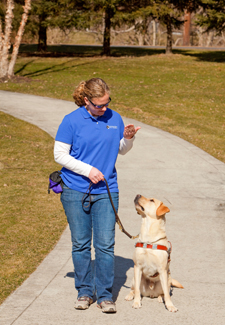 trainer walking a guide dog