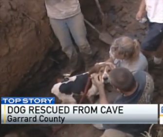 Rat the Coonhound raced to his owners when he was freed from a Kentucky cave.