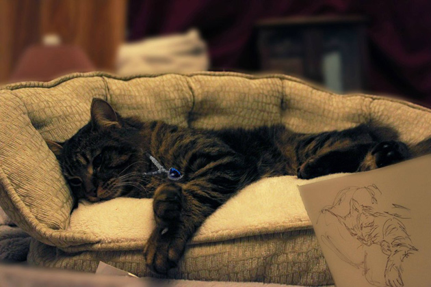 Titanic Movie Scene with Cat