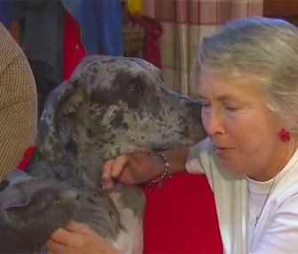 Sharon Thomas, who participated in a Case Western Reserve University study, and believes in the tremendous health benefits of owning her dog and cat.