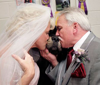 Westminster Wedding