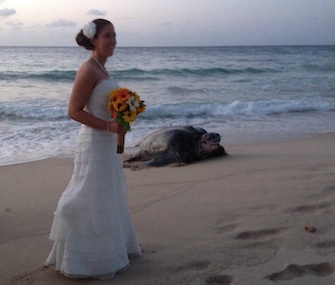 Kate Crowe poses near her surprise wedding guest: a leatherback sea turtle.