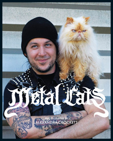 Metal Cats by Alexandra Crockett book cover