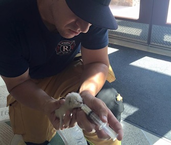 A newborn kitten found in a box outside a Rialto, California, fire station was named Jake after the firefighter who saved her.